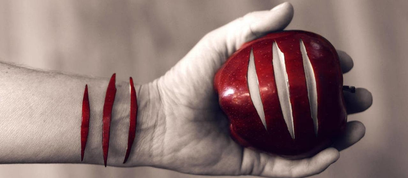 okr-samopovrezdeniya